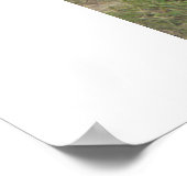 Javelina. Poster (Ecke)