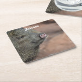 Javelina Rechteckiger Pappuntersetzer (angewinkelt)