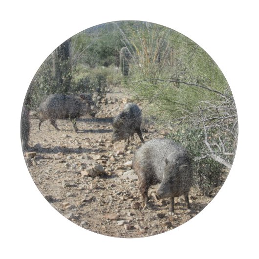 Javelina Schneidebrett (Vorderseite)