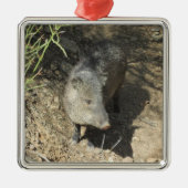 Javelina Silbernes Ornament (Vorne)