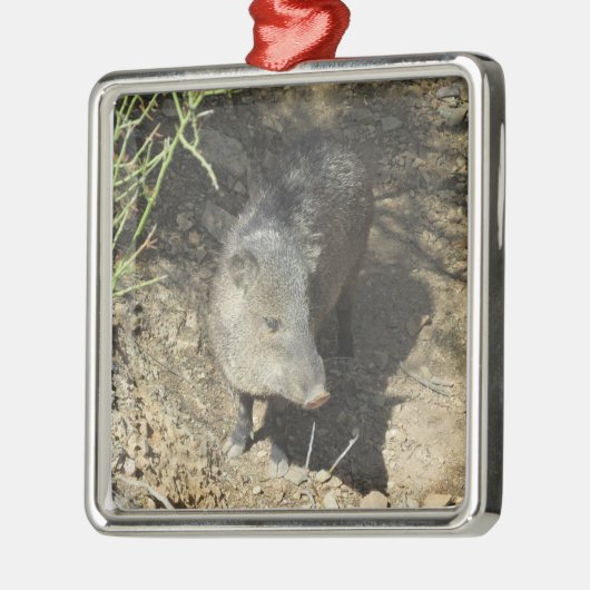 Javelina Silbernes Ornament (Links)