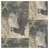Javelina Stoff (Nahaufnahme)