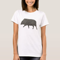 Javelina Wüste Wilde Tiere Peccary Nature