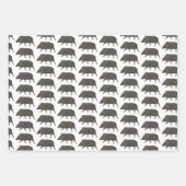 Javelina Wüstentiere Einzigartiges Mustergeschenk Geschenkpapier Set (Vorderseite 2)