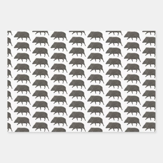 Javelina Wüstentiere Einzigartiges Mustergeschenk Geschenkpapier Set (Vorderseite 2)