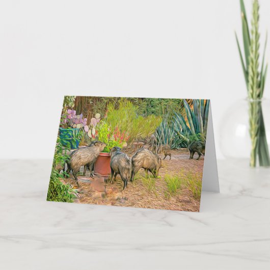 Javelinas in der Casita Karte (Vorderseite)