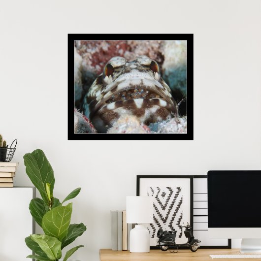 Jawfish mit Eiern Poster (Heimbüro)