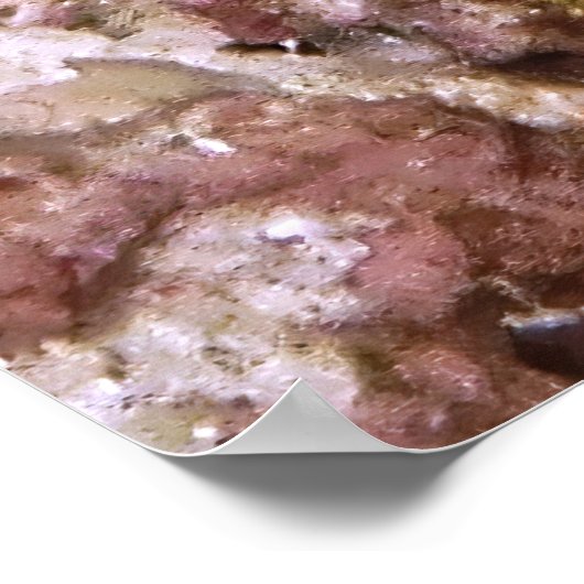 Jawfish Peeking Poster (Ecke)