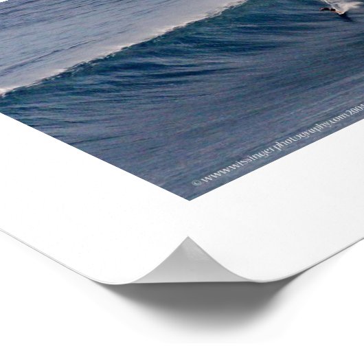 Jaws ~ Maui Surf Poster (Ecke)