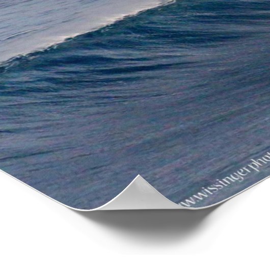 Jaws Surfing Foto Poster (Ecke)