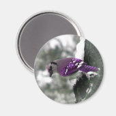 Jay Bird Magnet (Vorderseite/Rückseite)