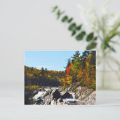 Jay Cook State Park Minnesota Postkarte (Stehend Vorderseite)