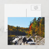 Jay Cook State Park Minnesota Postkarte (Vorne/Hinten)