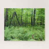 Jay Cooke Staat Park Ferns und Forest Puzzle (Horizontal)