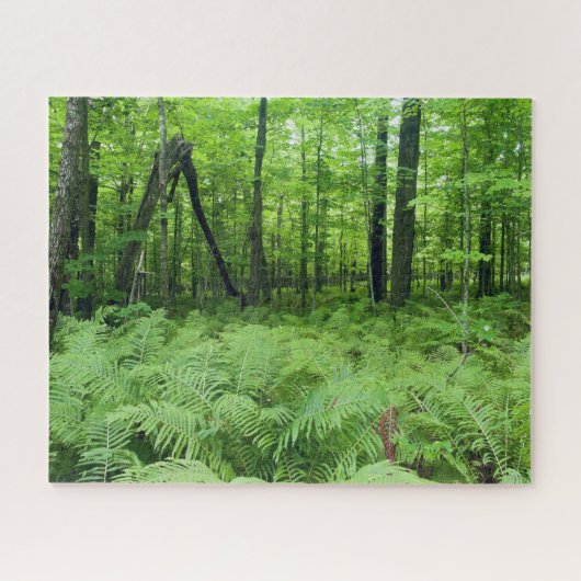 Jay Cooke Staat Park Ferns und Forest Puzzle (Horizontal)