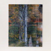 Jay Cooke Staat Park Minnesota St. Louis River Puzzle (Vertikal)