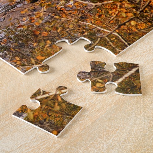 Jay Cooke State Park Minnesota Puzzle (Seite)