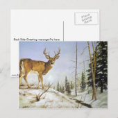 Jay Peak, weißer Schwanz Postkarte (Vorne/Hinten)