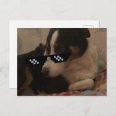 Jay Postkarte (Vorne/Hinten)