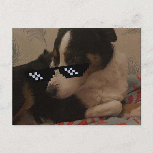 Jay Postkarte (Vorderseite)