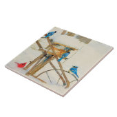 Jays and a Cardinal Sharing Winter Breakfast Fliese (Seite)