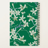 JAZMIN FOCUS GREEN NOTIZBLOCK (Rückseite)