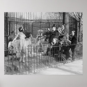 Jazzband im Zoo, 1925. Vintage-Foto Poster