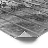 Jazzband im Zoo, 1925. Vintages Foto Poster (Ecke)