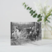 Jazzband, unterhält Polarbären, 1925 Postkarte (Stehend Vorderseite)