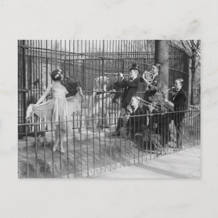 Jazzband, unterhält Polarbären, 1925 Postkarte