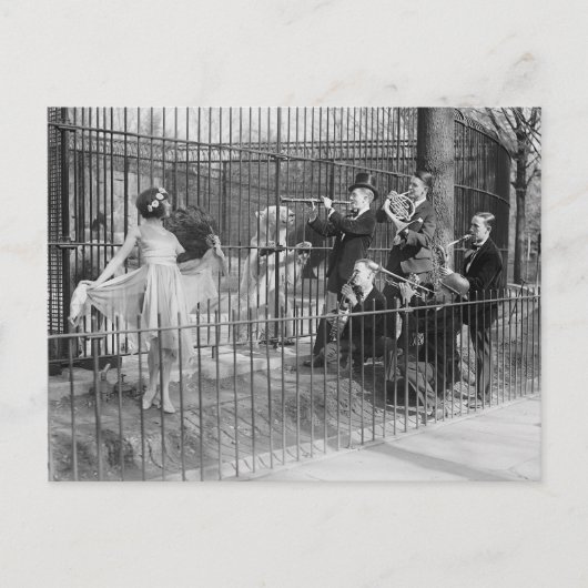 Jazzband, unterhält Polarbären, 1925 Postkarte (Vorderseite)