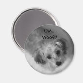 Jazzie Magnet (Vorderseite/Rückseite)