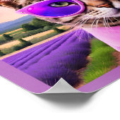 Jazzy cat - - Lavendelfeld Poster (Ecke)