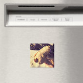 Jazzy Dog Magnet (In Situ (Geschirrspüler))