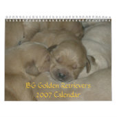 JBG Kalender goldener Retriever-2007 (Titelbild)