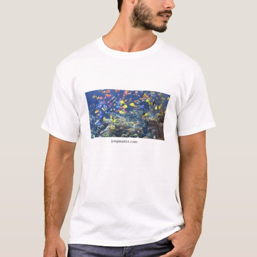 JC Aquatics T-Shirt (Vorderseite)