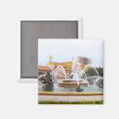 JC Nichols Fossilienmuseum Monte San Giorgio Magnet (Vorderseite/Rückseite)