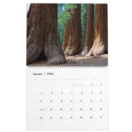 JCBPhotos.netversion 2010 1 Kalender (Jan 2026)