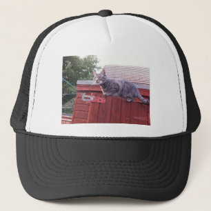 JD der Katzenkappe Truckerkappe