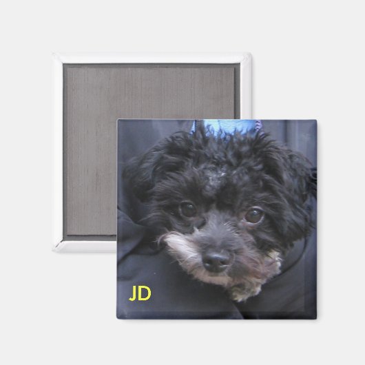 JD MAGNET (Vorderseite/Rückseite)