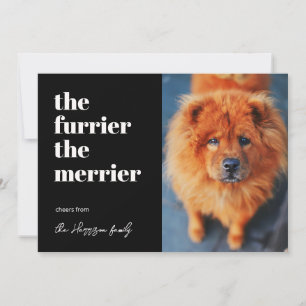 Je mehr Fell, desto fröhlicher Hund Foto Haustier Feiertagskarte
