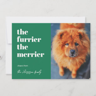 Je mehr Fell, desto fröhlicher Hund Foto Haustier  Feiertagskarte