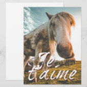 Je taime avec regardé cheva (Vorne/Hinten)