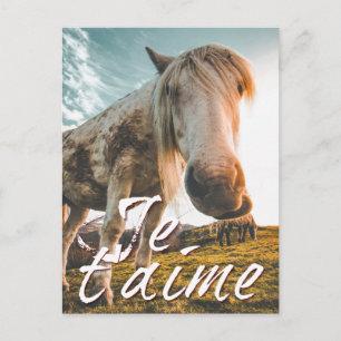 Je t'aime mit besprochenem Pferd Feiertagspostkarte
