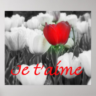 Je taime Red Tulip Print Poster