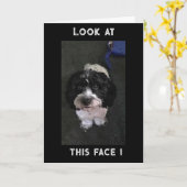 JEALOUS PUP SAGT "GLÜCKLICHER GEBURTSTAG" KARTE (Gelbe Blume)