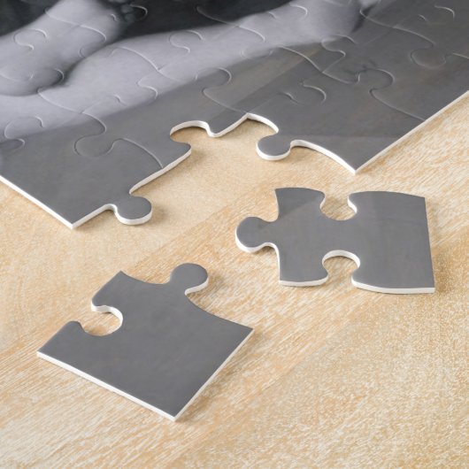 Jean Auguste Dominique Ingres | Odalisque in Grisa Puzzle (Seite)