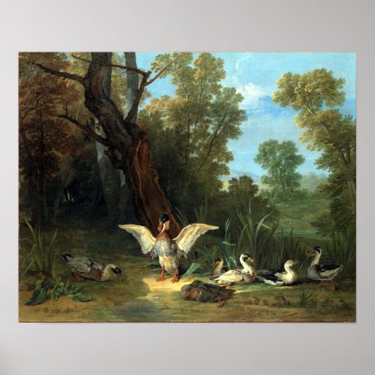 Jean-Baptiste Oudry Ducks im Sonnenschein Poster (Vorne)