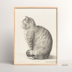 Jean Bernard Sitting Cat Animal Fine Art Artists Poster