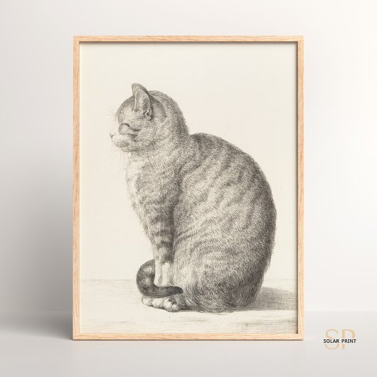 Jean Bernard Sitting Cat Animal Fine Art Artists Poster